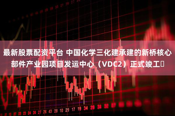 最新股票配资平台 中国化学三化建承建的新桥核心部件产业园项目发运中心(VDC2)正式竣工