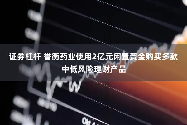 证券杠杆 誉衡药业使用2亿元闲置资金购买多款中低风险理财产品